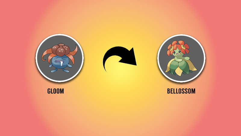 Bellossom