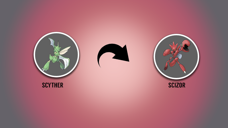 SCIZOR