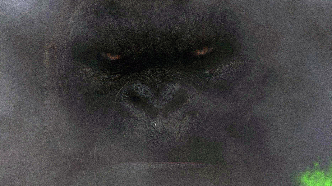 Kong: Ilha da Caveira | Revelada a primeira imagem do gorila gigante no filme