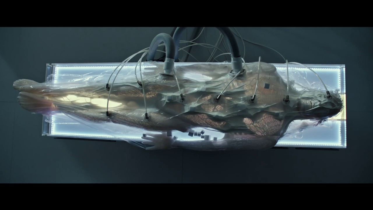 Alien: Covenant | Conheça os novos androides Walter