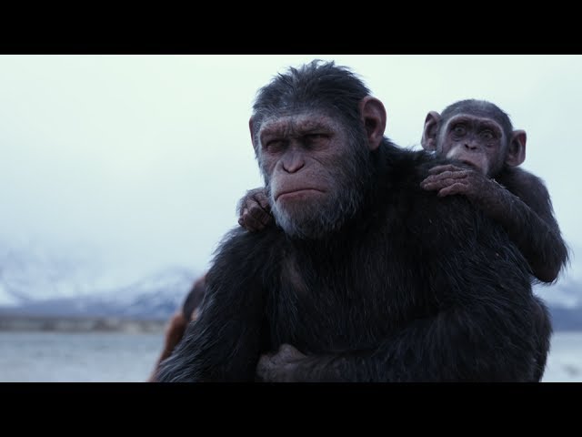 Planeta dos Macacos: A Guerra ganha trailer final eletrizante