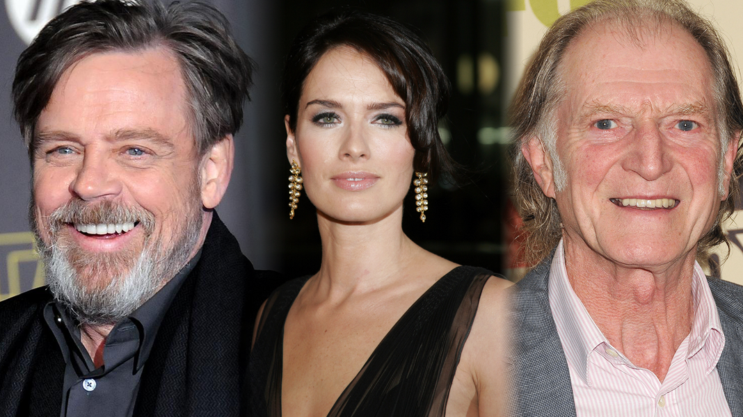 Mark Hamill, Lena Headey e David Bradley serão dubladores na 2ª temporada de Os Caçadores de Trolls