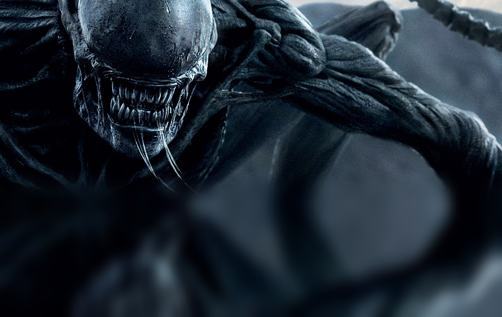 Ridley Scott espera por mais filmes do Alien na Disney