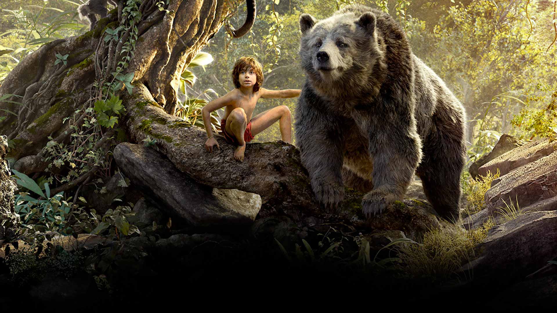 Mogli 2 | Disney já está desenvolvendo o novo filme