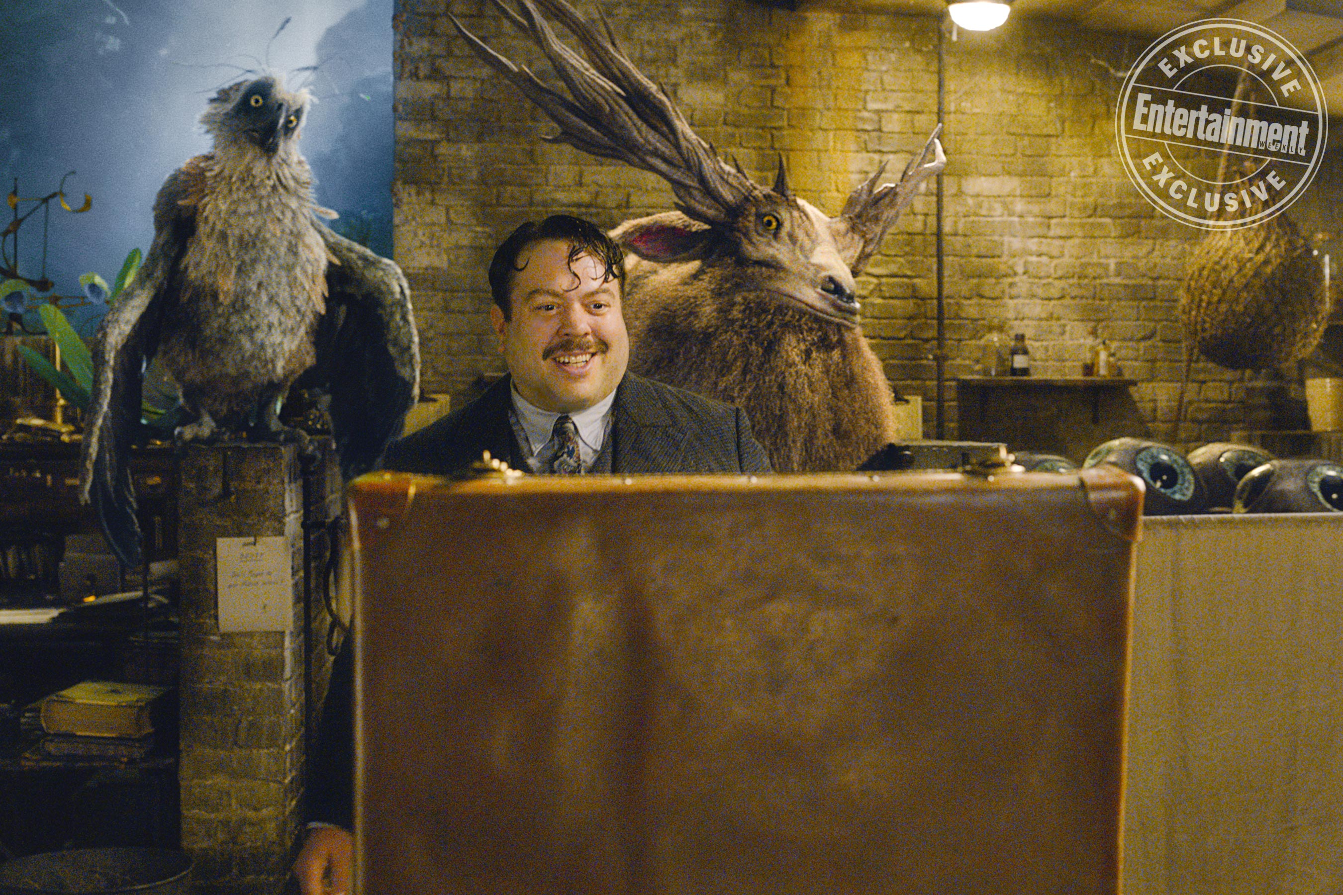 Animais Fantásticos: Os Crimes de Grindelwald | Newt, Dumbledore e Grindelwald são destaques em novas fotos