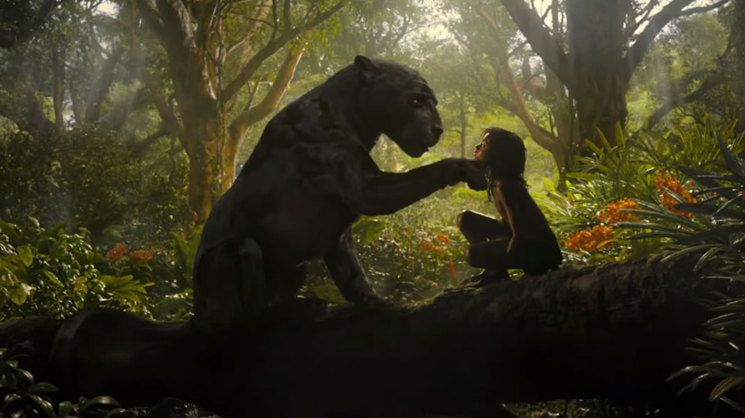 Mogli - Entre Dois Mundos | Netflix divulga trailer e data de estreia do filme dirigido por Andy Serkis