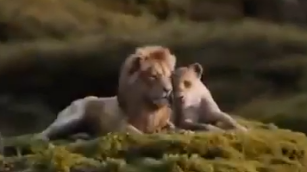 O Rei Leão | Beyoncé e Childish Gambino cantam música de Simba e Nala em novo vídeo do filme