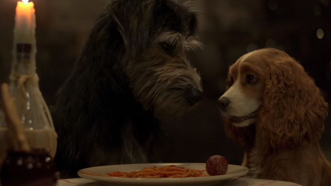 A Dama e o Vagabundo | Liberado o primeiro trailer do remake em live-action