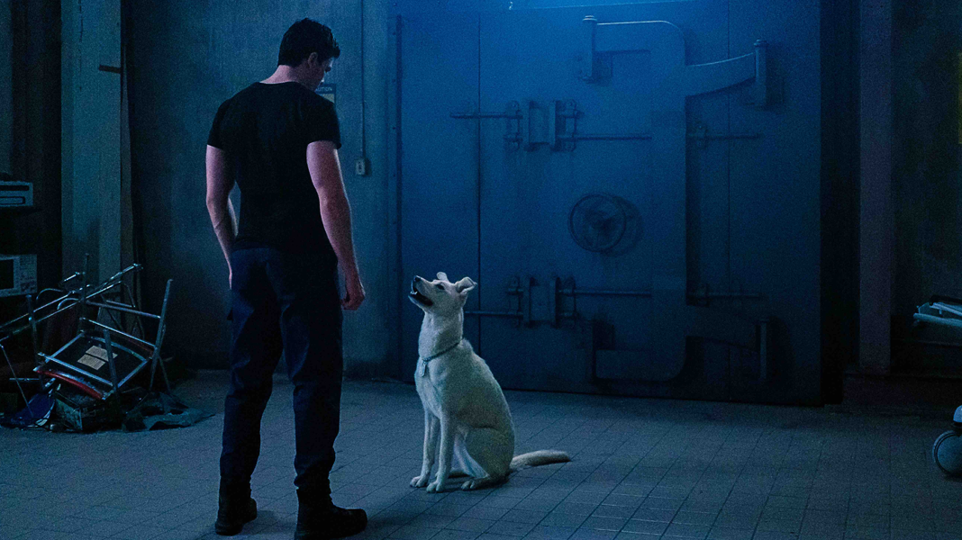 Titãs | Superboy e Krypto aparecem em imagens do sexto episódio da segunda temporada