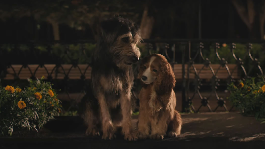 A Dama e o Vagabundo | Liberado um novo trailer do remake em live-action