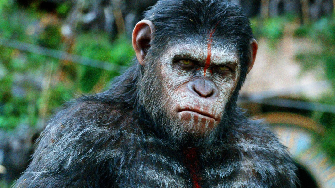 Fox está desenvolvendo novo filme da franquia Planeta dos Macacos e já escalou um diretor