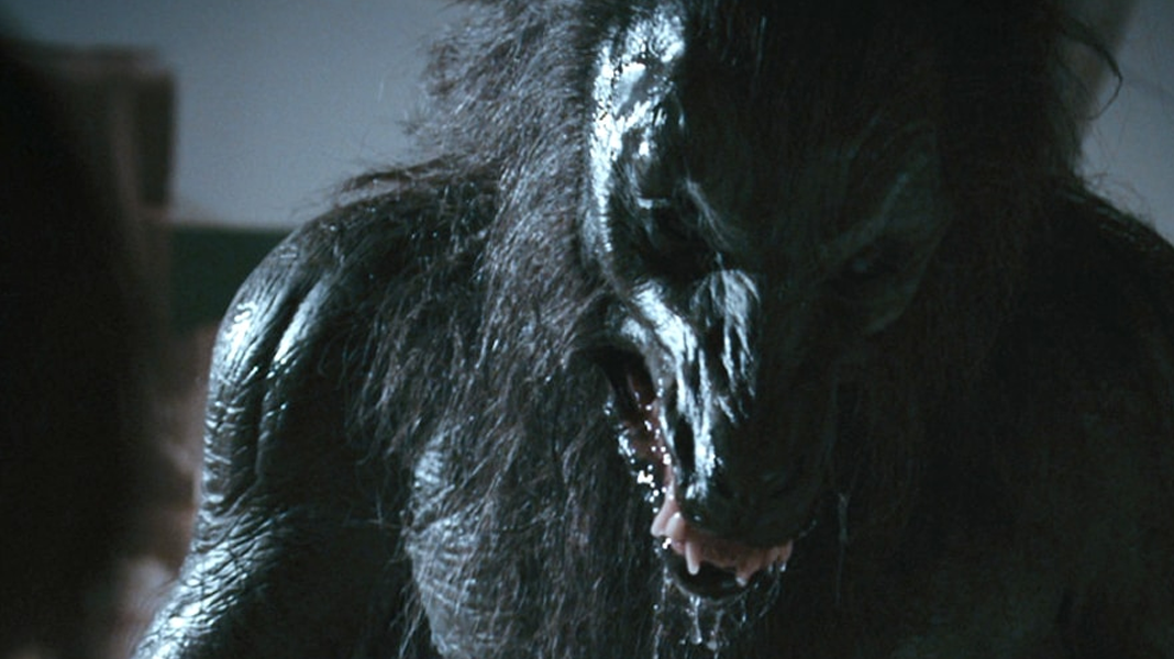 Diretor de IT: A Coisa irá desenvolver um remake de um filme do Lobisomem