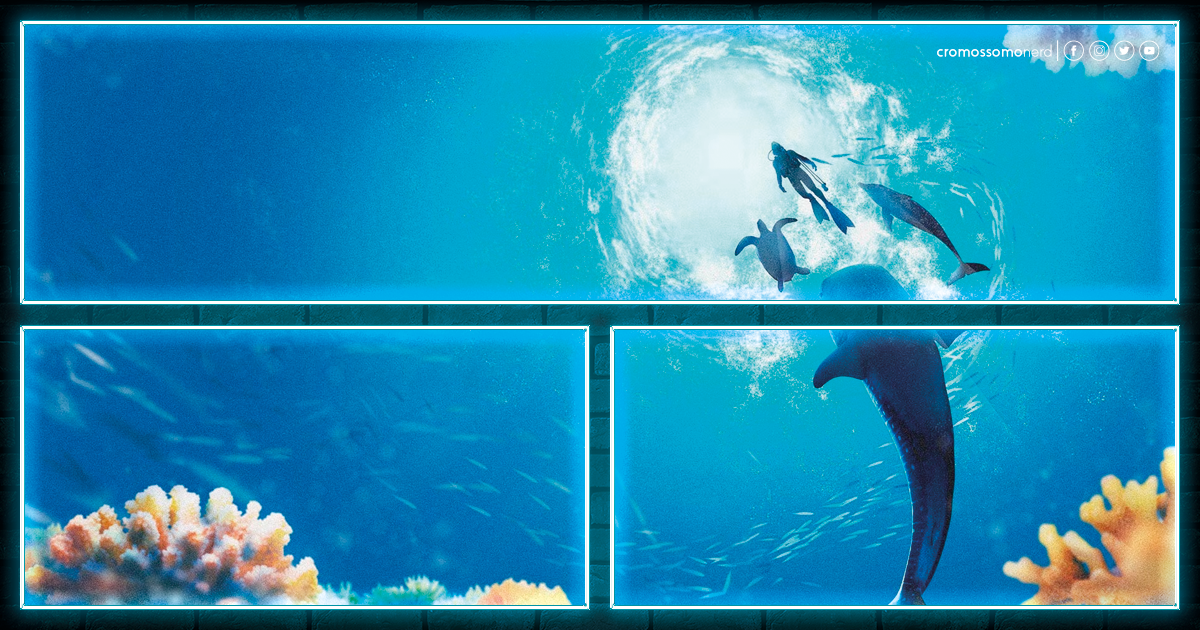 Endless Ocean Luminous | Exploração rasa e limitada no oceano