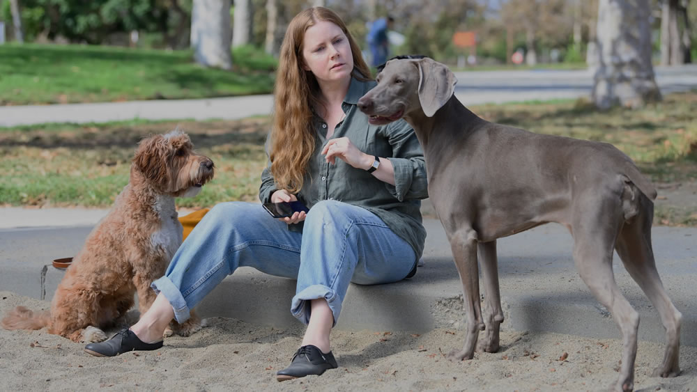 Amy Adams em cena do filme 'Canina'