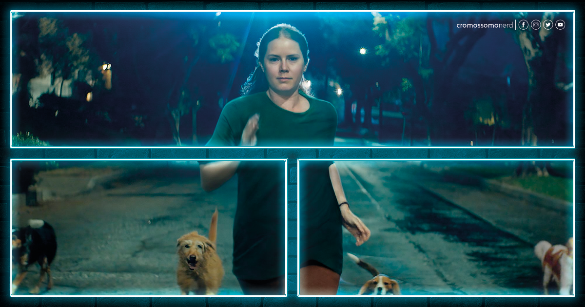 Canina é uma comédia capaz de garantir o Oscar de Amy Adams?